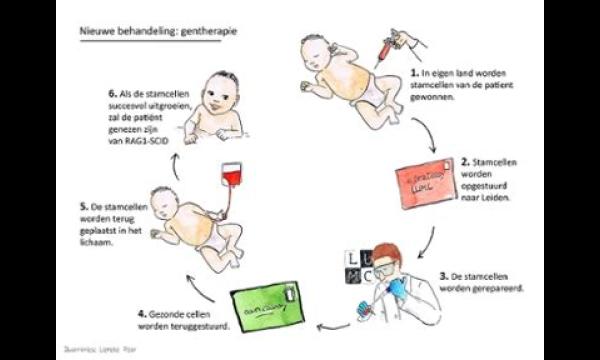 'De injectie van stamcellen helpt gevaarlijk zieke coronaviruspatiënten'