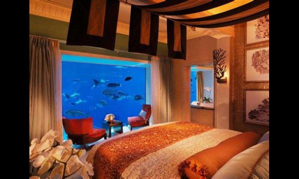 Bijzondere hotels over de hele wereld met giraffen, onderwatersuites en kamers in een kraan