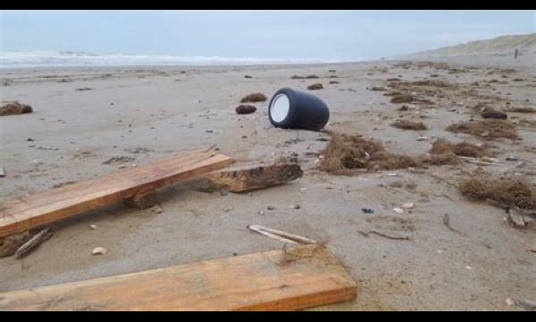 Bizar wezen zonder ogen en een dolfijnachtige kop spoelt aan op het strand in Mexico