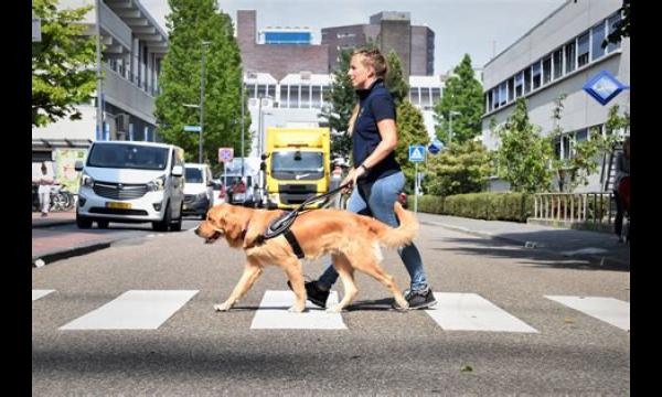 Blinde vrouw hoestte opzettelijk in gezicht terwijl ze met geleidehond liep