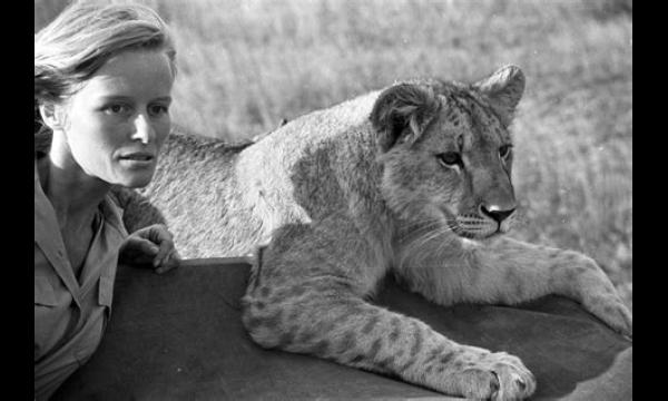 Born Free’s Virginia McKenna ‘tot tranen toe geroerd’ door het lot van dieren toen ze 90 werd