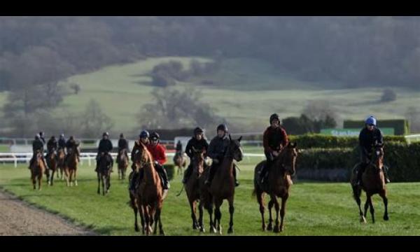 Cheltenham Festival 2020-jargon uitgelegd en termen die je misschien hoort tijdens de Gold Cup