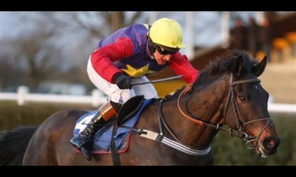 Dashel Drasher mist het Cheltenham Festival en de rest van het seizoen vanwege een blessure