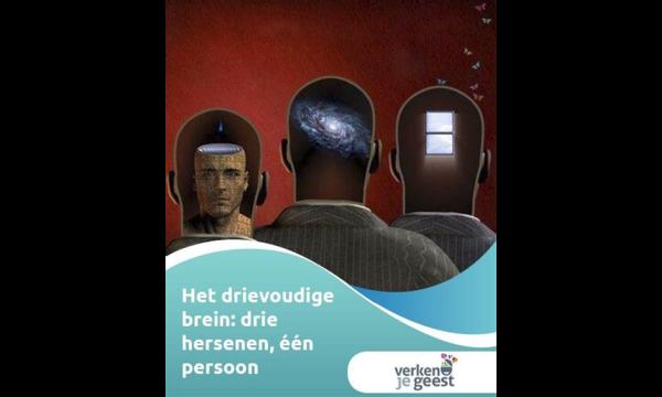 Ik ben een neurowetenschapper – vermijd deze drie gewoonten om 'je hersenen jong te houden'