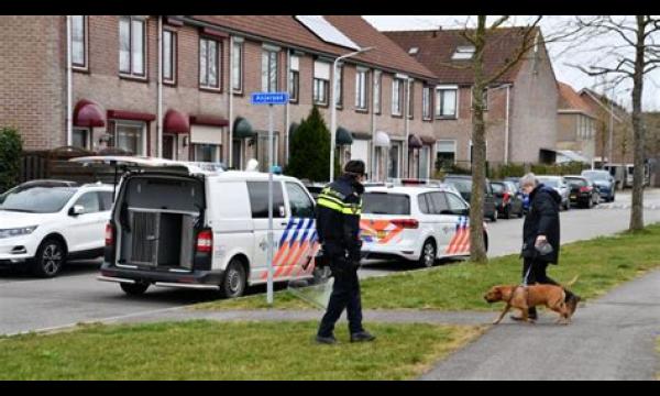 Jongen, 10, en man verscheurd door een losgeslagen hond tijdens een straataanval