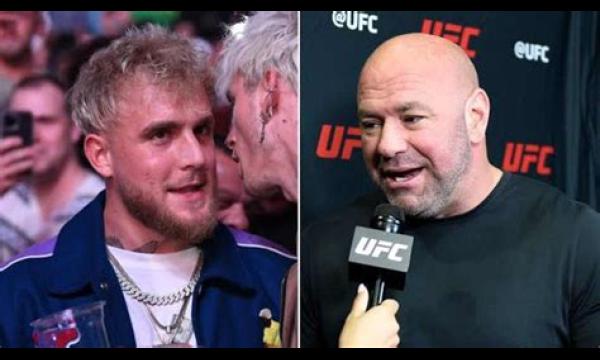 Logan Paul roept Canelo Alvarez op om tegen broer Jake te vechten na een verrassende nederlaag