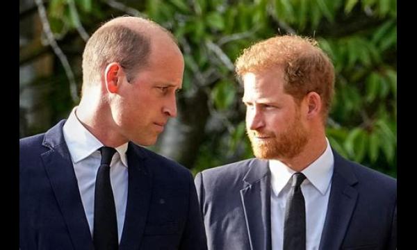 Prins Harry 'heeft niet veel vrienden in LA en voelt zich stuurloos zonder werk'