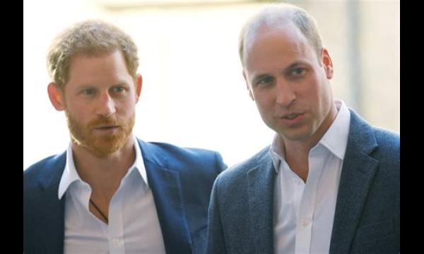 Prins William en Harry kregen ‘bijna ruzie’ over project dat toekomstige King’s ‘ding’ zou worden