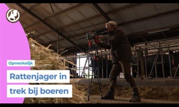 Ratten ‘uit de hand gelopen’ op ‘vol en besmet’ kerkhof met woedende rouwenden