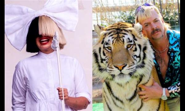 Sia dropt op Tiger King geïnspireerde parodie-rap over Joe Exotic en het fokken van tijgers