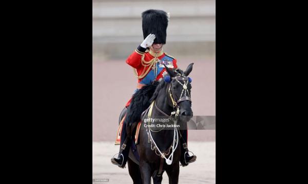 Trooping the Colour: Mystery als schurkenpaard zonder ruiter gezien tijdens parade