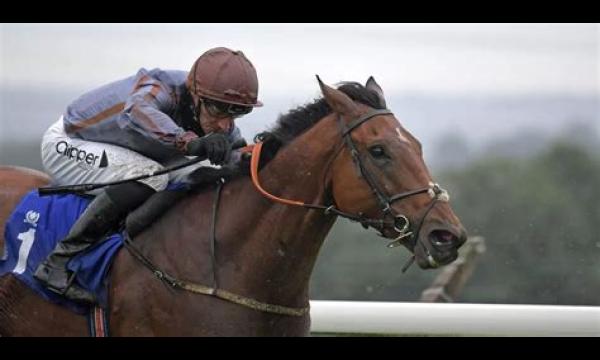 Veteraan sprinter Summerghand pakt goud bij Ayr voor de Schotse jockey Daniel Tudhope