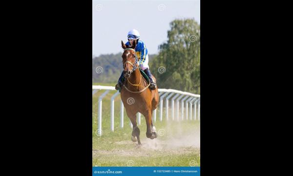 Vrouwelijke jockey sterft nadat een uit de hand gelopen paard tijdens de race tegen de rail botst